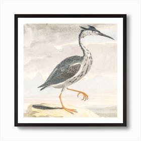 A Heron, Johan Teyler Art Print