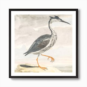 A Heron, Johan Teyler Poster