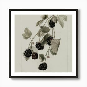 Fruit 2 Art Print