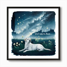 Don'T Try To Dream Canvas Print Art Print