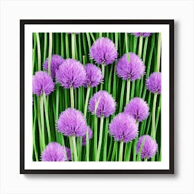 Chives Art Print