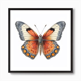 Butterfly 37 Art Print