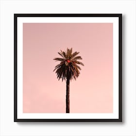 Minimal Palm Tree Square Art Print