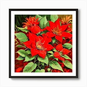 Poinsettia 2 Art Print