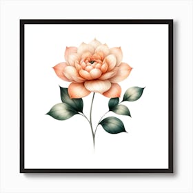 Peach Lotus Flower Art Print