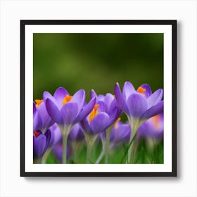 Spring flowers 1 Art Print