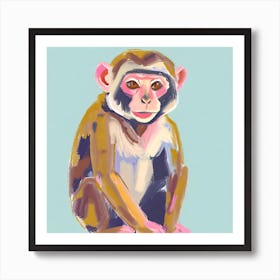 Capuchin Monkey 03 Art Print