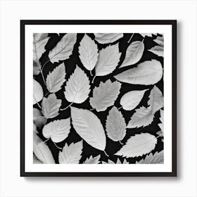 Black And White Leaves 2 Art Print