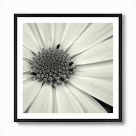 Simplicity Art Print