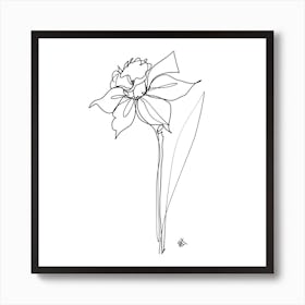 Daff Art Print