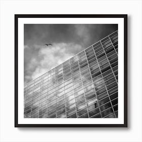 Soar Square Art Print