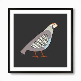 Partridge Game Bird Dark Art Print