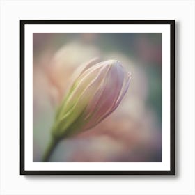 A Close Up Of A Delicate Umbrella Bud Just Beginning To Bloom, With Soft Petals And Hints Of Vibrant Art Print