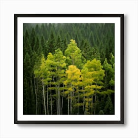 Firefly Noise Reduction Forest Reduces Noise In Low Light Or High Iso Images 1 Art Print