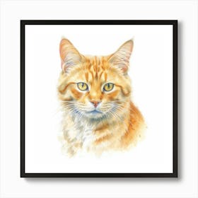 Mandarin Cat Portrait Art Print