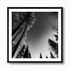 Black And White Forest 3 Art Print