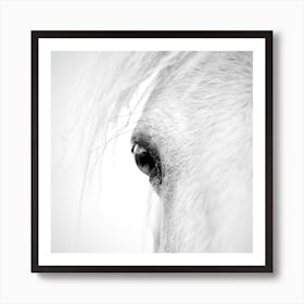 Horse Eye Art Print