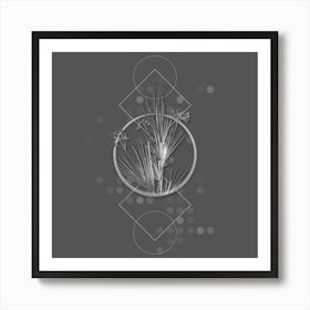 Vintage Blue Stars Botanical with Line Motif and Dot Pattern in Ghost Gray n.0290 Art Print