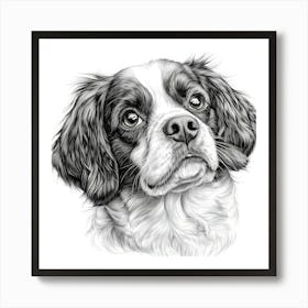 King Charles Cavalier 1 Poster