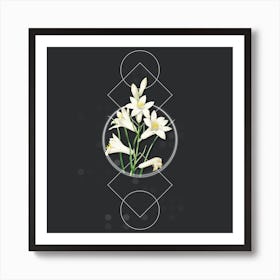 Vintage St. Bruno's Lily Botanical with Geometric Line Motif and Dot Pattern n.0351 Art Print