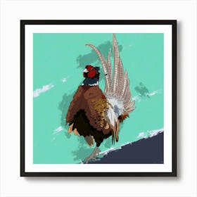 Strutting Pheasant Art Print