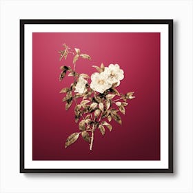Gold Botanical White Rose of Snow on Viva Magenta n.4076 Art Print
