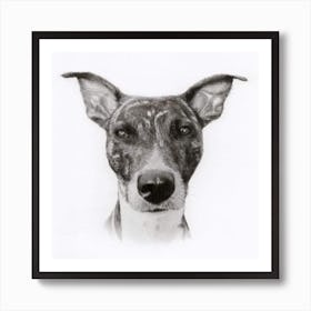 Dog Portrait 2 Art Print