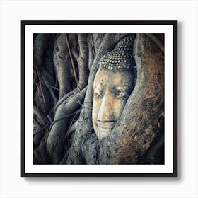 Ayutthaya Head Square Art Print