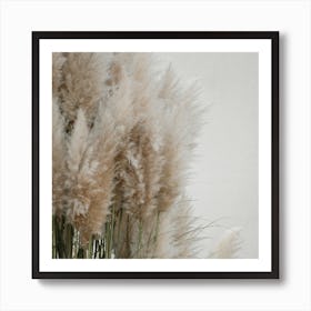 Pampas Grass Cloudy Heaven Square Art Print