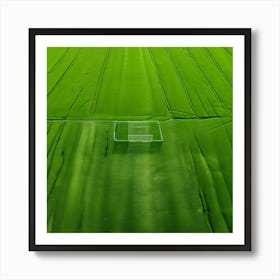 Plant Texture Green Nature Field Summer Crop Natural Environment Spring Grass Turf Folia (4) Art Print