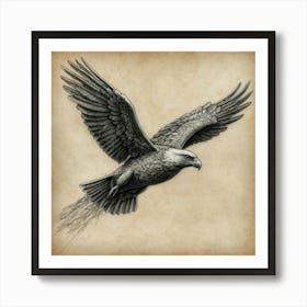 Eagle In Flight Art Print