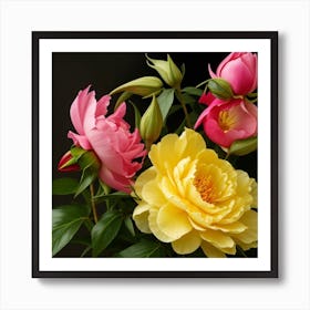 Peonies On Black Background Art Print