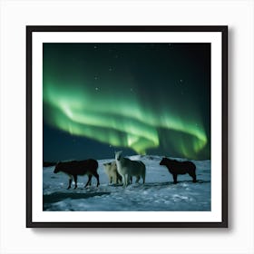 Northern Lights 2 064623 Art Print