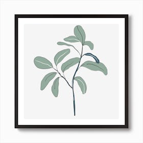 Eucalyptus Art Print