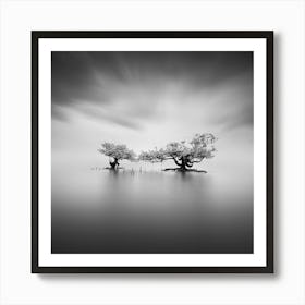 Two Trees In The Water Art Print