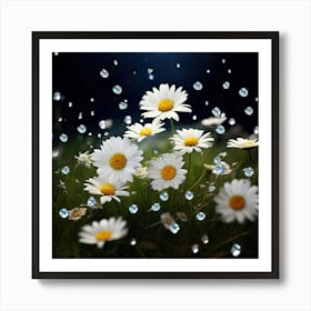 Daisies In The Rain Art Print