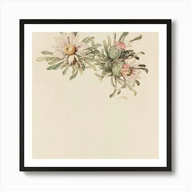 Eucalyptus Art Print