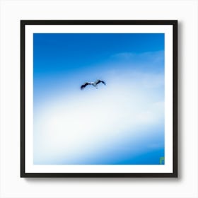 Stork In Flight 20200301 35rt3ppub Art Print