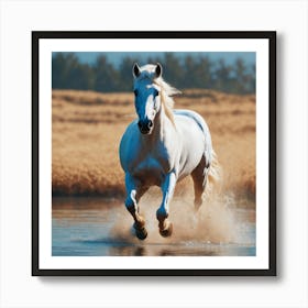 White Horse Running In Water Art Print