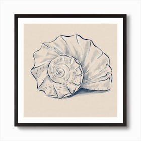 Sea Shell Spiral  Art Print