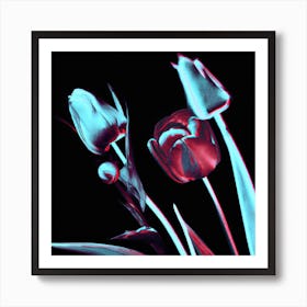 3d Tulips Art Print