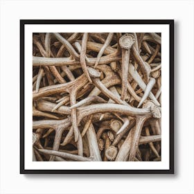 Elk Antlers Square Art Print