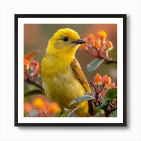 Yellow Warbler 2 Art Print