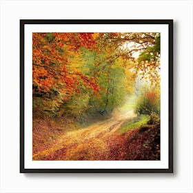 Autumn Road In The Forest Photo Art Print