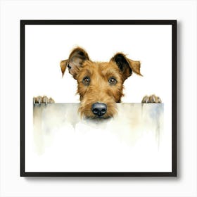 Irish Terrier 10 Art Print