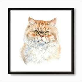 American Shorthair Persian Cat Portrait 2 Art Print