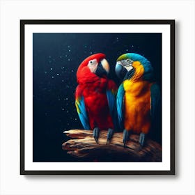 Colorful Parrots Art Print