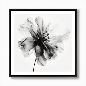 Black And White Flower Art Print