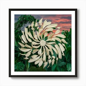 Flower In The Garden Art Print