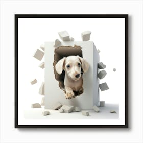 Dog In A Box Art Print